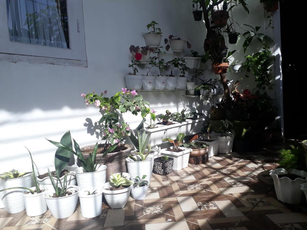 Bumimi Homestay Painan Exterior foto